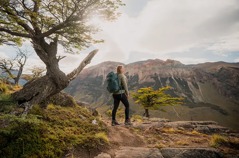 Trekking por el bosque nativo